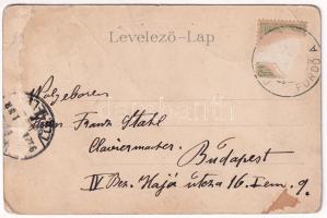 1902 Borosznófürdő, Brusno-kúpele (Borosznó, Brusznó, Brusno); Kornélia lak. Kiadja Lechnitzky O. fé...