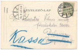 1907 Maroshévíz, Oláhtoplica, Toplita, Toplica; park, nyaraló / park, villa (EK)