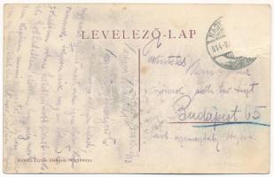 1914 Borpatak, Valea Borcutului; Pokol Elek kastély. Kovács Gyula kiadása / castle (Rb)