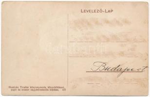 Petrozsény, Petrosani; Szurduki szoros, híd. Muntyán Tivadar kiadása / Pasul Surduc / mountain pass,...