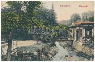 1909 Előpatak, Valcele; Lobogó fürdő. Divald Károly műintézete / spa, bath (fa)