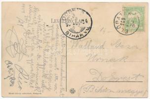 1909 Előpatak, Valcele; Lobogó fürdő. Divald Károly műintézete / spa, bath (fa)