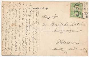 1910 Torda, Turda; Széchenyi liget. Füssy József kiadása / park (EB)