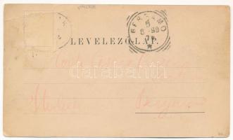 1898 (Vorläufer) Előpatak, Valcele; Sétatéri részlet. Schäser A. fénynyomdája. Zeidner H. kiadása / ...