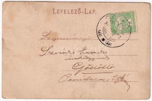 1911 Budapest XVI. Cinkota, villa. Goldmann Henrik kiadása (EK)