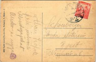 Székesfehérvár, Károly király tér, üzletek. Vasúti levelezőlapárusítás 2446. (EK)