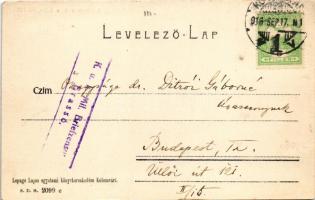 1916 Kolozsvár, Cluj; látkép a fellegvárból. Lepage Lajos kiadása / view from Cetatea