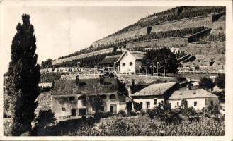 Badacsony Kisfaludy-ház