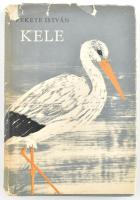 Fekete István: Kele. Bp., 1964, Magvető. Negyedik kiadás. A borító Reich Károly grafikus munkája. Kiadói félvászon kötésben, kiadói szakadt, kopott papír védőborítóban.