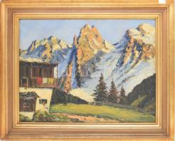 Megyery jelzéssel: Alpesi táj. Olaj, vászon, dekoratív fakeretben, 60x80 cm