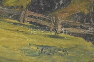 Megyery jelzéssel: Alpesi táj. Olaj, vászon, dekoratív fakeretben, 60x80 cm