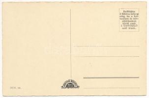 Szatmárnémeti, Satu Mare; Megyeháza / county hall