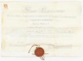 1901 Jogi diploma a Kolozsvári Tudományegyetemről. Pergamen, sérült függő viaszpecséttel, fedél nélkül Krayzell Adalbert részére