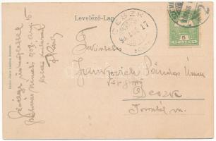 1908 Szatmárnémeti, Szatmár, Satu Mare; látkép a Szamostól. Reizer János kiadása / Somes riverside (...