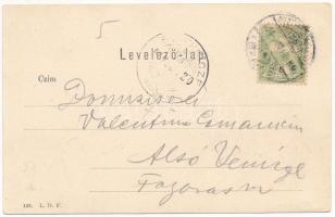 1904 Szatmárnémeti, Szatmár, Satu Mare; Kiss Gedeon szobra, Városi kioszk. Hollósi felvétele. L.D.F....