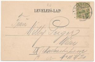 1903 Brassó, Kronstadt, Brasov; Árpád szobor, Millenniumi emlékmű, Bethlen-barlang. Ciurcu könyvkere...