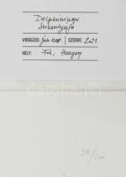 Herbarium: Delphinium / Sarkantyúfű,
Keret méret: 45x32.5cm,
Sorszám: 98 / 500,
Gyűjtési idő: 202...