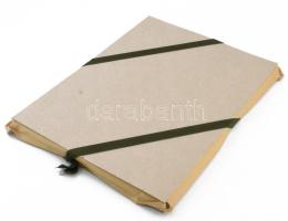 Herbarium: Delphinium / Sarkantyúfű,
Keret méret: 45x32.5cm,
Sorszám: 98 / 500,
Gyűjtési idő: 202...