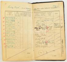 1937-1945 Mauthauseni deportált zsoldkönyve, mauthauseni igazolványa, illetve fényképes egyetemi lec...