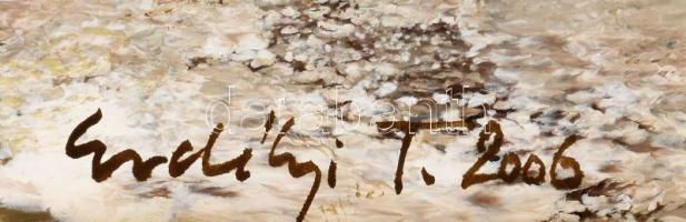 Erdélyi Tibor (1961-): Hazafelé. Olaj, farost. Jelzett. Hátoldalán címkén feliratozott. 25x35 cm. fa...