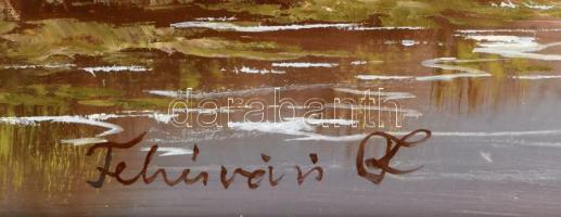 Fehérvári Zoltán (1958-): Parton. Olaj, farost. Jelzett. Hátoldalán címkén feliratozott. 50x70 cm. f...