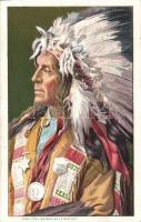 Buffalo indian chief litho