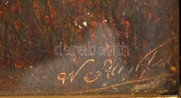 Azonosítatlan osztrák festő: Alpesi táj, folyóval. OLaj, fa. Dekoratív keretben. kis sérüléssel 16x2...