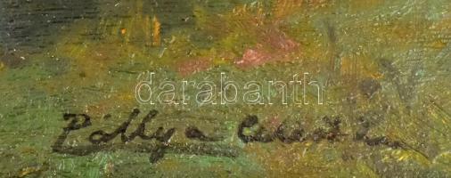 Pállya Celesztin (1864-1948): Dunai táj. Olaj, falemez, jelzett. Dekoratív fakeretben, 38x21 cm Kere...