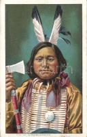 Buffalo indian litho