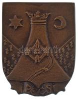 DN Pécs egyoldalas, öntött bronz plakett hátodalon gravírozva (85x66mm) T:AU