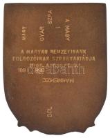 DN "Pécs" egyoldalas, öntött bronz plakett hátodalon gravírozva (85x66mm) T:AU