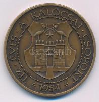 Fritz Mihály (1947-) 1984. "MÉE / Tíz éves a Kalocsai Csoport" bronz emlékérem (42,5mm) T:...