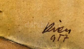 Olvashatatlan jelzéssel: Duna part. Vegyes technika, papír, sérült keretben, 28x40 cm