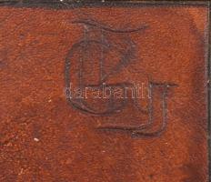 Végh Gyula: Szárnyas Angyal. Bőrkép, kopásokkal, 62x41 cm