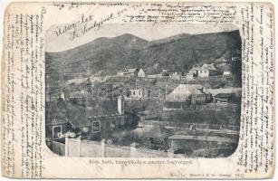 1902 Szilágysomlyó, Simleu Silvaniei; Római katolikus leány iskola Magura hegységgel. Heimlich K. 1902. / girl school (b)