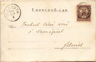 1901 Alcsút, Habsburg főhercegi kastély kert. photo