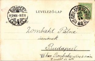 1902 Balatonalmádi, Almádi; Dr. Rada István kanonok nyaralója, villa