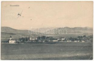 1911 Biccsefalu, Bitsicza, Bicsicza, Bytcica; látkép / general view (ázott / wet damage)