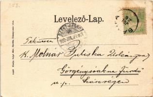 1902 Bártfa, Bártfafürdő, Bardejovské Kúpele, Bardiov, Bardejov; Dr. Hintz és Anna lak. Salgó Mór ki...