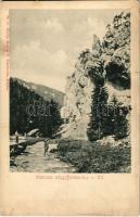 Blatnicai-völgy, Blatnická dolina (Turóc, Turiec); Sochán P. 94. (szakadás / tear)