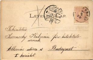 1900 Eperjes, Presov; Fő utca, piac, Tauth Viktor üzlete, Takarékpénztár, Holénia, Fonciere Pesti Bi...