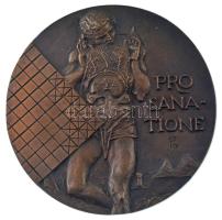 Péter Ágnes (1949-) DN "PRO SANATIONE (A gyógyításért)" egyoldalas bronz emlékérem (123-124mm) T:AU