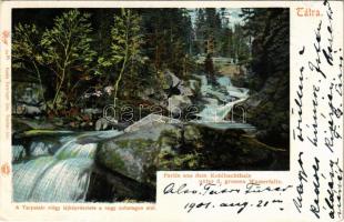 1901 Tátra, Magas-Tátra, Vysoké Tatry; A Tarpataki völgy tájképrészlete a nagy zuhatagon alul. Feitzinger Ede 54bt. Auto-Chrom / Partie aus dem Kohlbachtale unter d. grossen Wasserfalle / waterfall (gyűrődés / crease)
