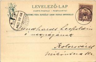 1901 Tátra, Magas-Tátra, Vysoké Tatry; A Tarpataki völgy tájképrészlete a nagy zuhatagon alul. Feitz...