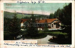 1917 Tátra, Tatry; Virágvölgy (Rózsavölgy), Blumental, Kvetnica; Vendéglő. Feitzinger Ede 1902/12. 463. Auto-Chrom / Blumenthal bei Poprád. Restauration / restaurant (EB)