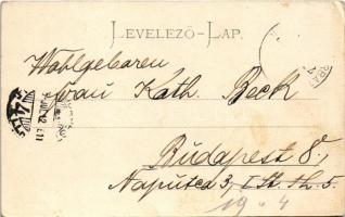 1905 Tátrafüred, Ótátrafüred, Altschmecks, Stary Smokovec (Tátra, Magas-Tátra, Vysoké Tatry); Csáky ...