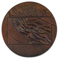 ~1970. Kiváló társadalmi munkáért / Hazafias Népfront Országos Tanácsa kétoldalas, öntött bronz plakett. Szign.:B.I. (96mm) T:AU