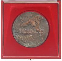 1978. &quot;Magyar Néphadsereg Folklór Fesztiválja Mezőkövesd 1978&quot; egyoldalas bronz plakett, nem eredeti dísztokban (95mm) T:AU patina