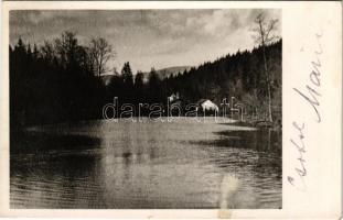 Rozsnyó, Roznava; Kúpele / Fürdő tó részlet. Alt János felvétele / spa, lake + "1938 Rozsnyó visszatért" So. Stpl. (ragasztónyom / glue marks)