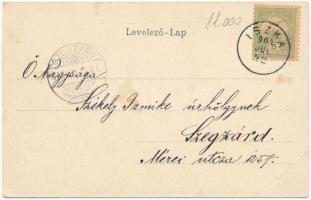 1903 Szatmárnémeti, Satu Mare; Városi kioszk. Szecessziós erdős litho, Reizer János kiadása / park k...